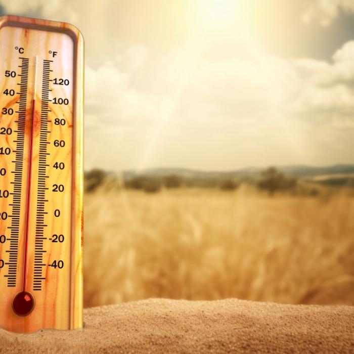 Fast 30 Grad! Nach dem Sturm-Schock feiert der Sommer sein Comeback