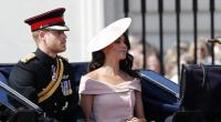 Ein TikTok-Video skizziert die Gründe für eine mögliche Trennung von Prinz Harry und Herzogin Meghan.