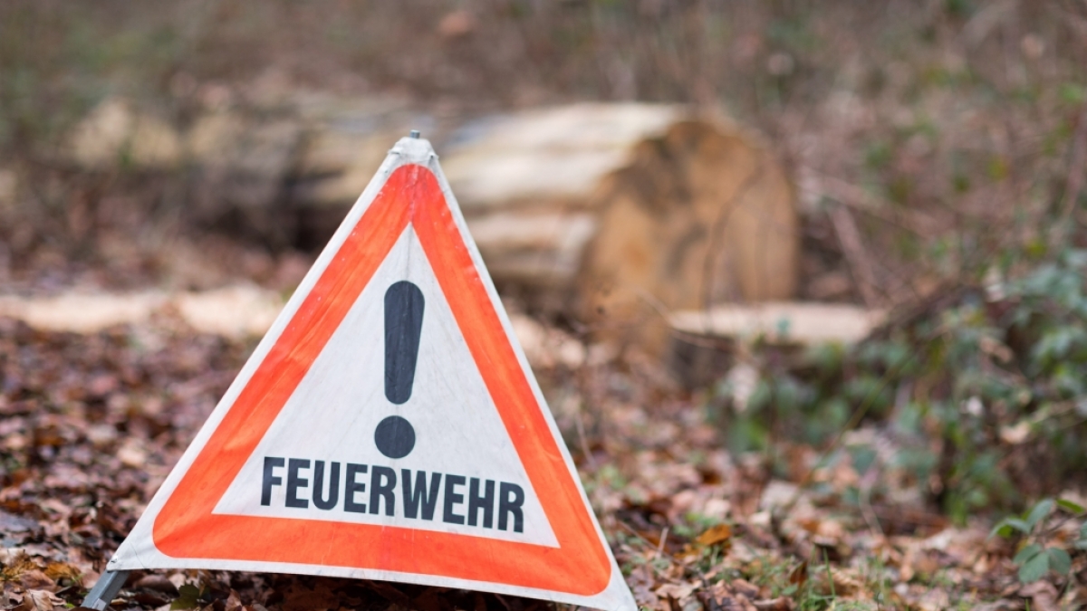 Die Waldbrandgefahr ist aktuell in vielen Teilen Deutschlands erh&ouml;ht. (Foto)