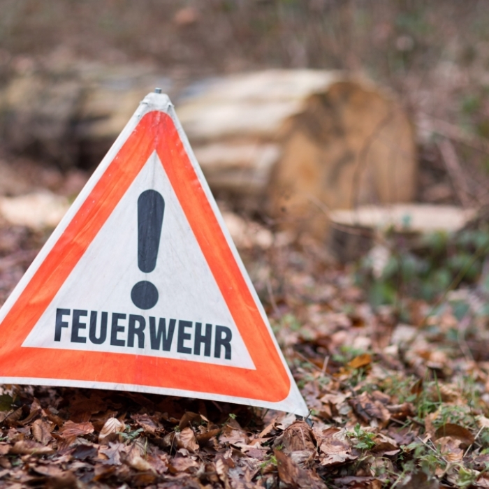 Erhöhtes Waldbrand-Risiko! HIER müssen Sie aktuell aufpassen