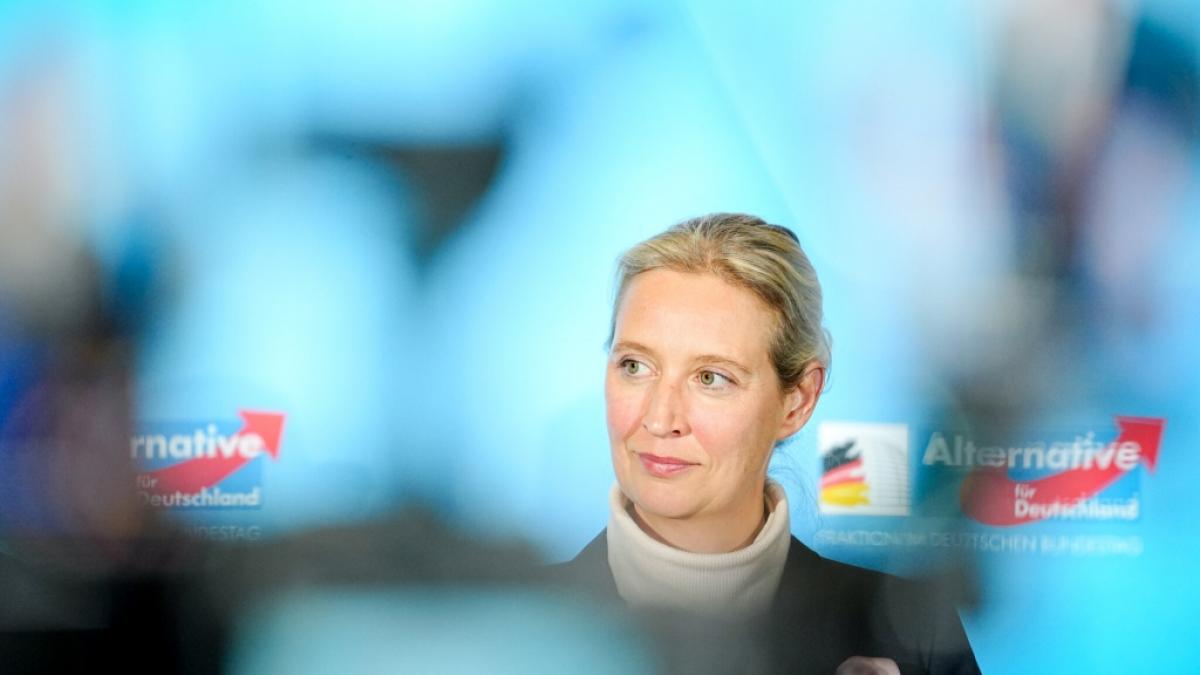 AfD-Chefin Alice Weidel kann sich &uuml;ber einen Rekord-Umfragewert f&uuml;r ihre Partei freuen. (Foto)