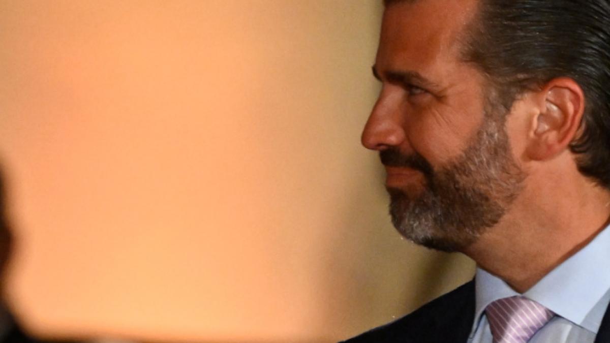 Donald Trump Jr. spottet nach dem Hammer-Angriff auf Paul Pelosi. (Foto)