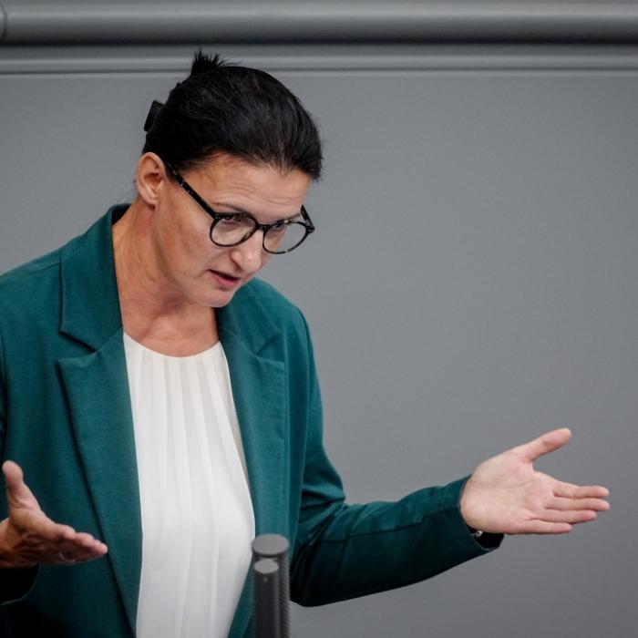 Grüne fordern Prüfung deutscher Politiker und ihrer Verbindung zu Epstein