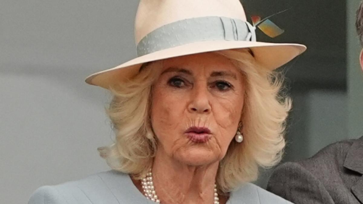 Ihrem Ehemann K&ouml;nig Charles III. g&ouml;nnte K&ouml;nigin Camilla eine kleine Pause und zeigte sich bei einer Veranstaltung ihres Herzensprojektes mit einem anderen Begleiter. (Foto)