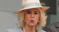Ihrem Ehemann König Charles III. gönnte Königin Camilla eine kleine Pause und zeigte sich bei einer Veranstaltung ihres Herzensprojektes mit einem anderen Begleiter.