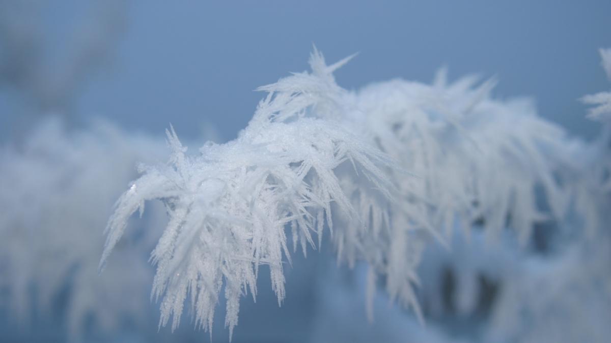 Laut Meteorologen k&ouml;nnte bis M&auml;rz noch einmal richtig kalt werden. (Foto)