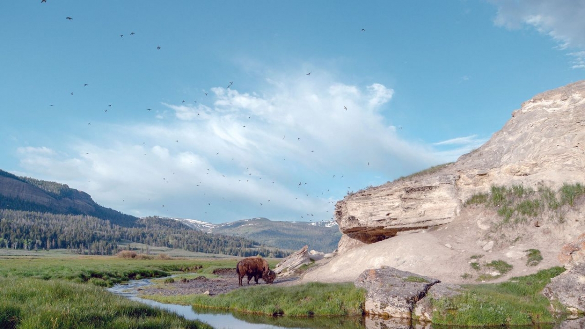 Yellowstone - Park der Extreme bei Arte (Foto)