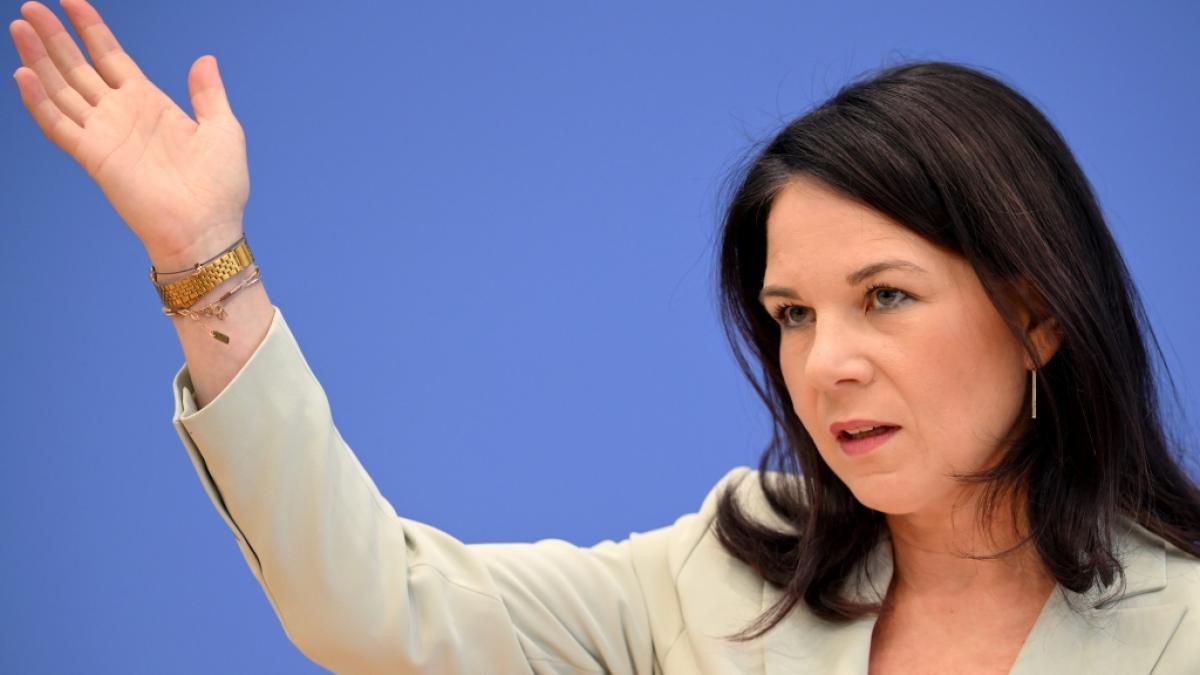 Annalena Baerbock will in der Gr&uuml;nen-Bundestagsfraktion keine F&uuml;hrungsrolle &uuml;bernehmen. Warum? (Foto)
