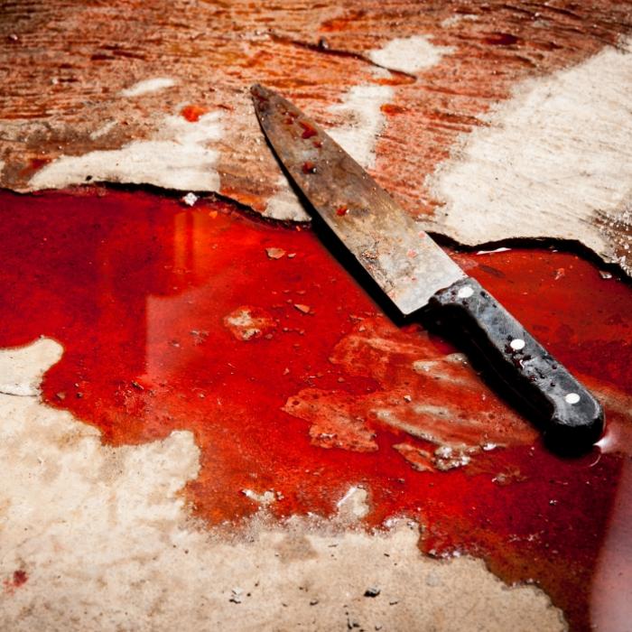 Blutbad bei Teenie-Geburtstag - 11 Jugendliche festgenommen