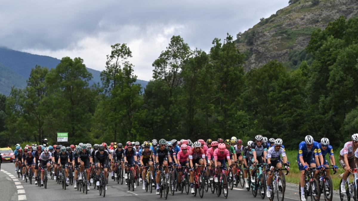 Die Profis bei der Tour de France in Aktion. (Foto)