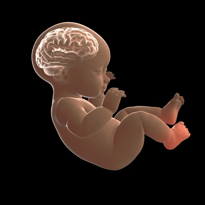 Baby erleidet Schlaganfall im Mutterleib