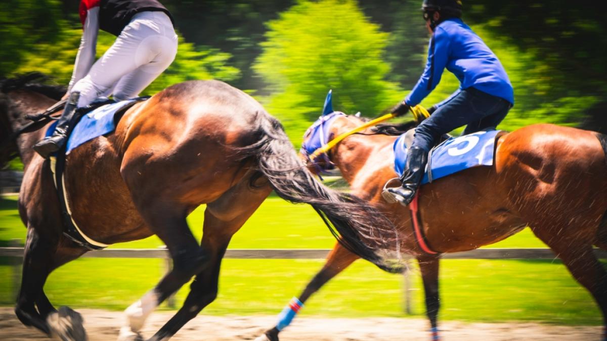 Ein tragischer Reitunfall hat die aufstrebende Jockey-Hoffnung Marina Morel mit nur 30 Jahren aus dem Leben gerissen (Symbolbild). (Foto)