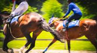Ein tragischer Reitunfall hat die aufstrebende Jockey-Hoffnung Marina Morel mit nur 30 Jahren aus dem Leben gerissen (Symbolbild).