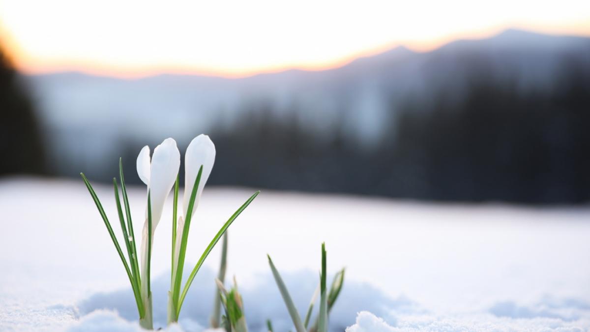 Kehrt der Winter nach Deutschland zur&uuml;ck? (Foto)