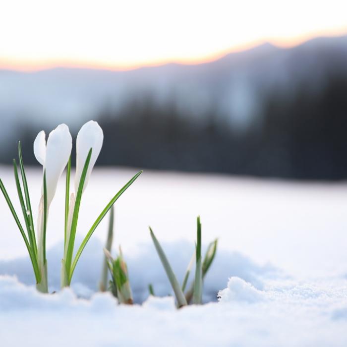 Kaltlufttropfen knallt nach Deutschland! Kehrt nun der Winter zurück?