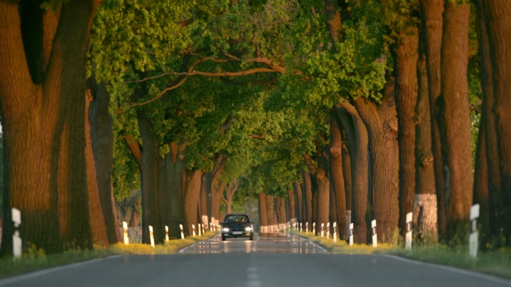 Auf Deutschlands Straßen ist der Weg das Ziel.