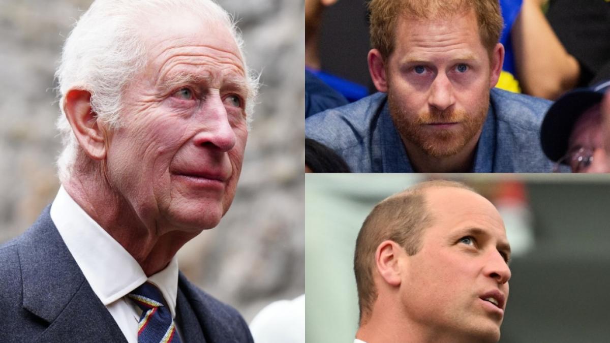 K&ouml;nig Charles III., Prinz Harry und Prinz William fanden sich in dieser Woche allesamt in den Royals-News wieder. (Foto)