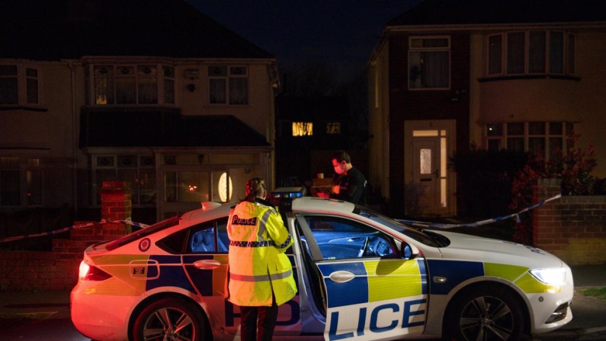 In Gro&szlig;britannien wurde eine Rentnerin von zwei entlaufenden Hunden get&ouml;tet. (Foto)