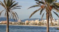 Ein deutscher Urlauber wurde auf Mallorca Opfer einer Messerattacke.