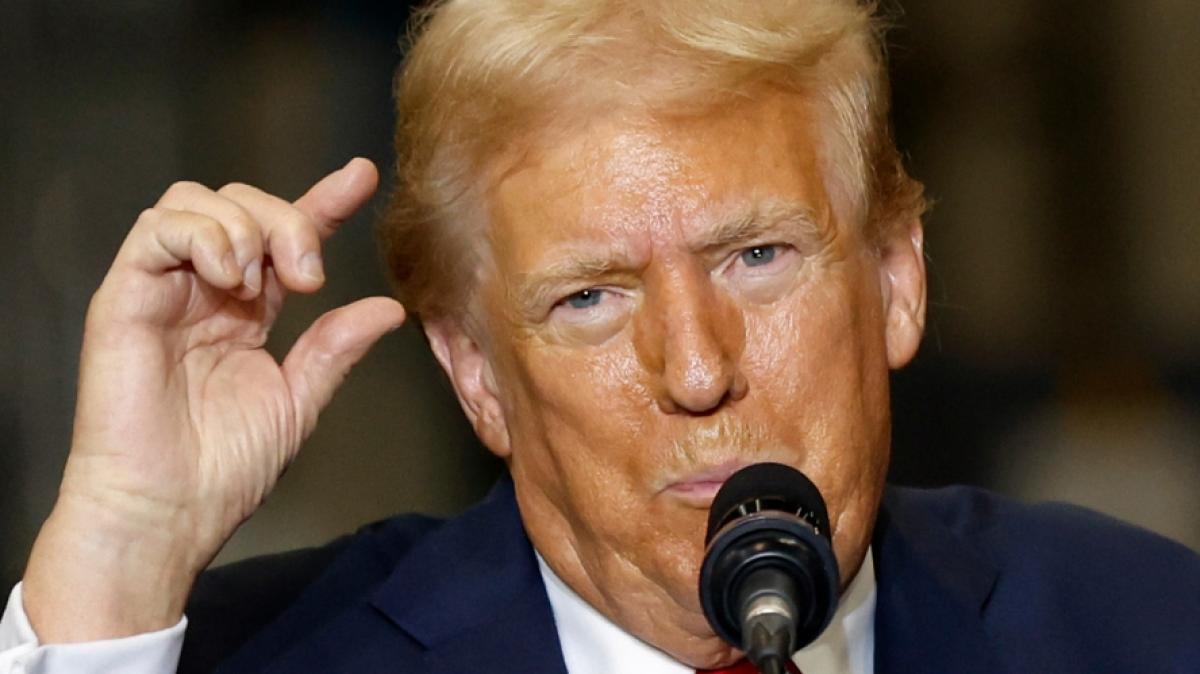 Donald Trump f&auml;llt mit einer missverst&auml;ndlichen &Auml;u&szlig;erung auf. (Foto)