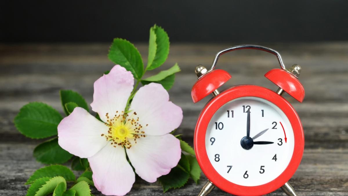 Am 29.03.2026 werden die Uhren auf Sommerzeit gestellt. (Foto)