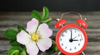 Am 29.03.2026 werden die Uhren auf Sommerzeit gestellt.
