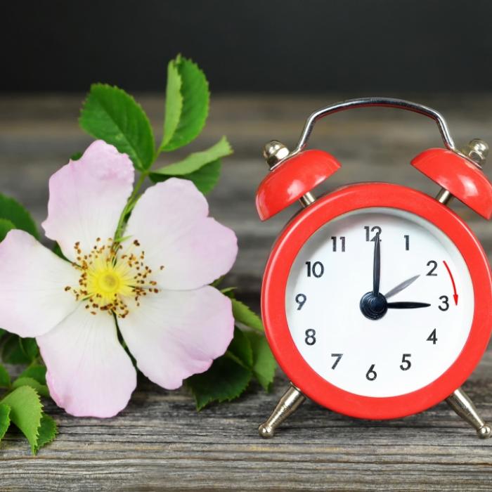 Abschaffungspläne gescheitert? Warum Europa weiterhin an der Uhr dreht