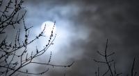 Der November-Vollmond taucht in den Halbschatten der Erde ein.