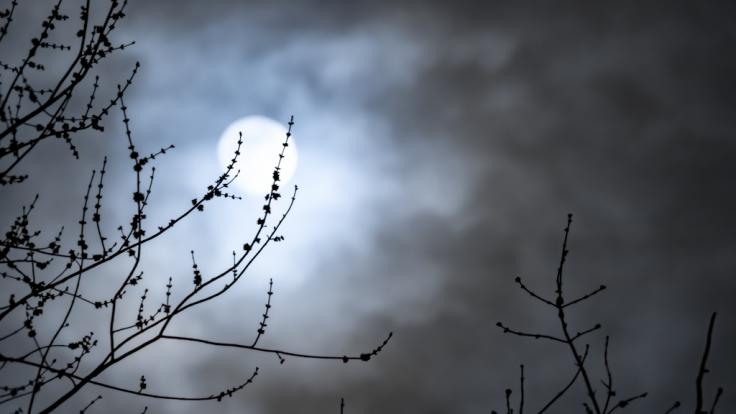 Der November-Vollmond taucht in den Halbschatten der Erde ein.