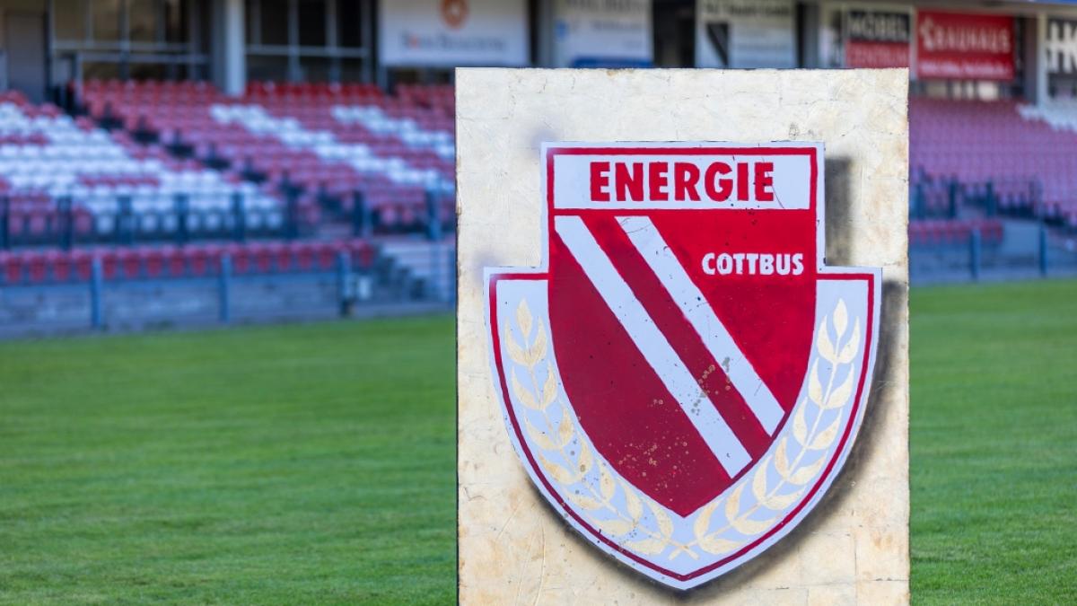 Das Vereinslogo des FC Energie Cottbus steht auf dem Rasen des LEAG Energie Stadions. (Foto)