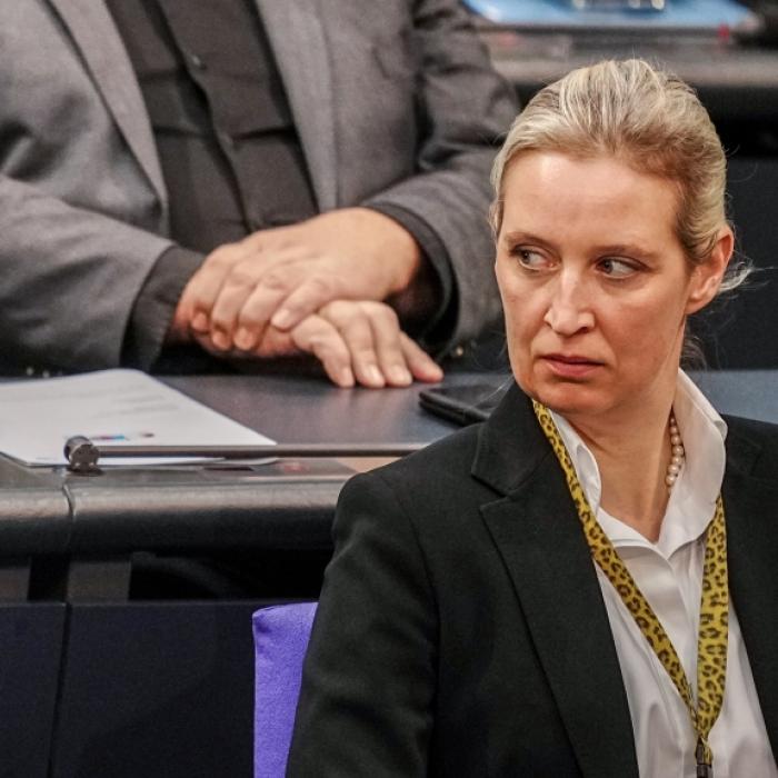 AfD droht Absturz! Diese Zahlen sind eindeutig