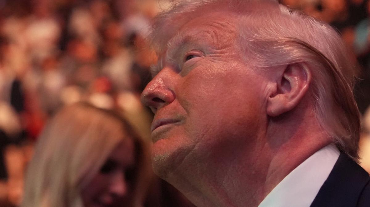 Bei UFC Freedom 250 wird Donald Trump ganz genau hinschauen. (Foto)