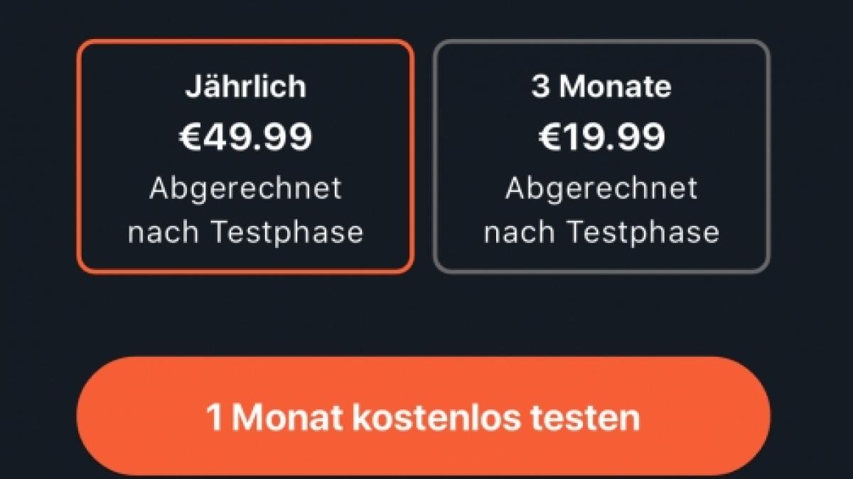 Die Routenplanung der Flasher-Blinker bel&auml;uft sich im Jahresabo auf 49,99 Euro. (Foto)