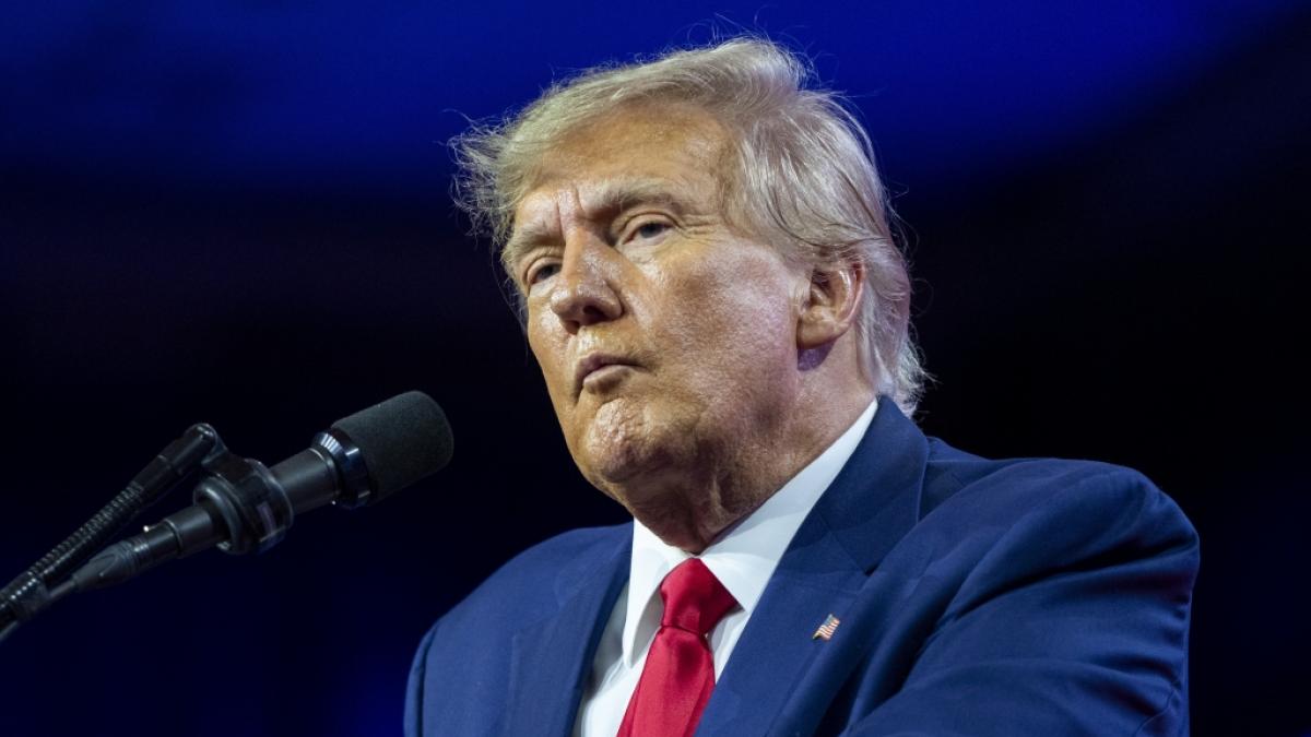 Donald Trump will Putin Teile der Ukraine &uuml;berlassen. (Foto)