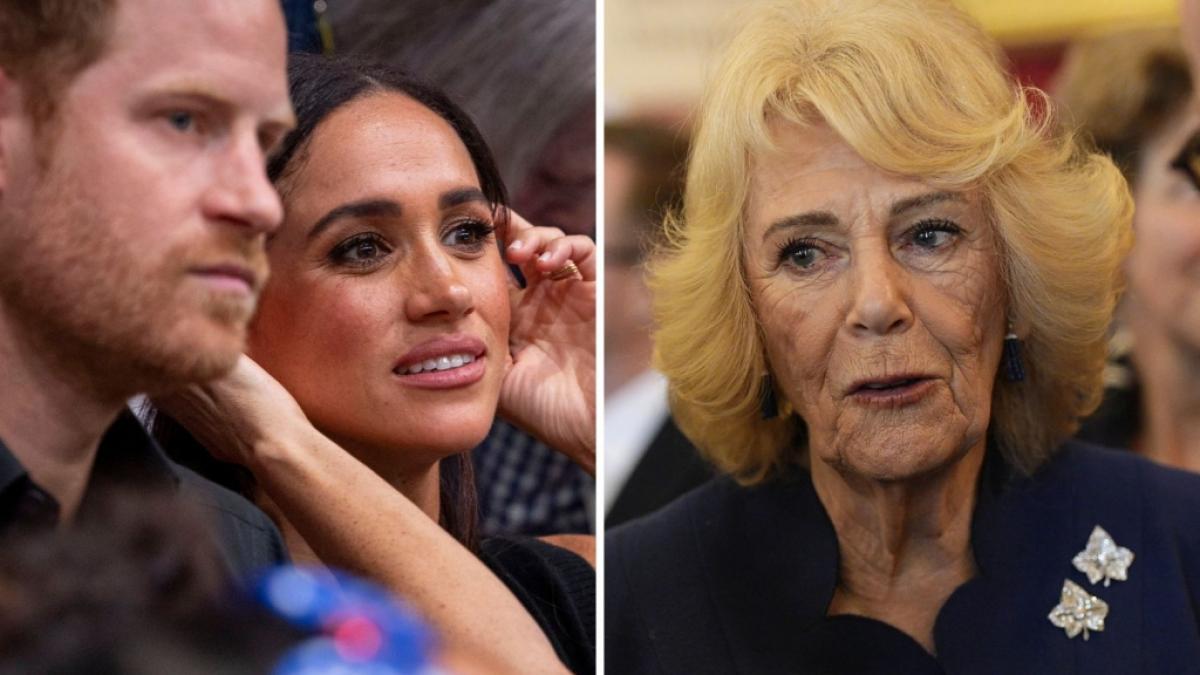 In den Royals-News tummelten sich diese Woche nicht nur Prinz Harry und Meghan Markle, auch K&ouml;nigin Camilla mischte in den k&ouml;niglichen Schlagzeilen mit. (Foto)