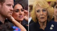 In den Royals-News tummelten sich diese Woche nicht nur Prinz Harry und Meghan Markle, auch Königin Camilla mischte in den königlichen Schlagzeilen mit.