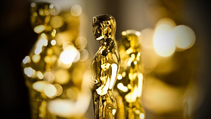 Die Oscars werden am 9. Februar zum 92. Mal in Los Angeles verliehen.