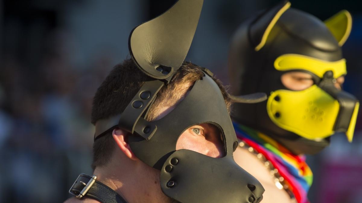 Das Paar soll eine Vorliebe f&uuml;r den sogenannten "Furry"-Fetisch haben, bei dem sich die Beteiligten als Tiere verkleiden. (Symbolbild) (Foto)
