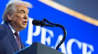 Europa sollte auch künftig Härte gegenüber Donald Trump zeigen.