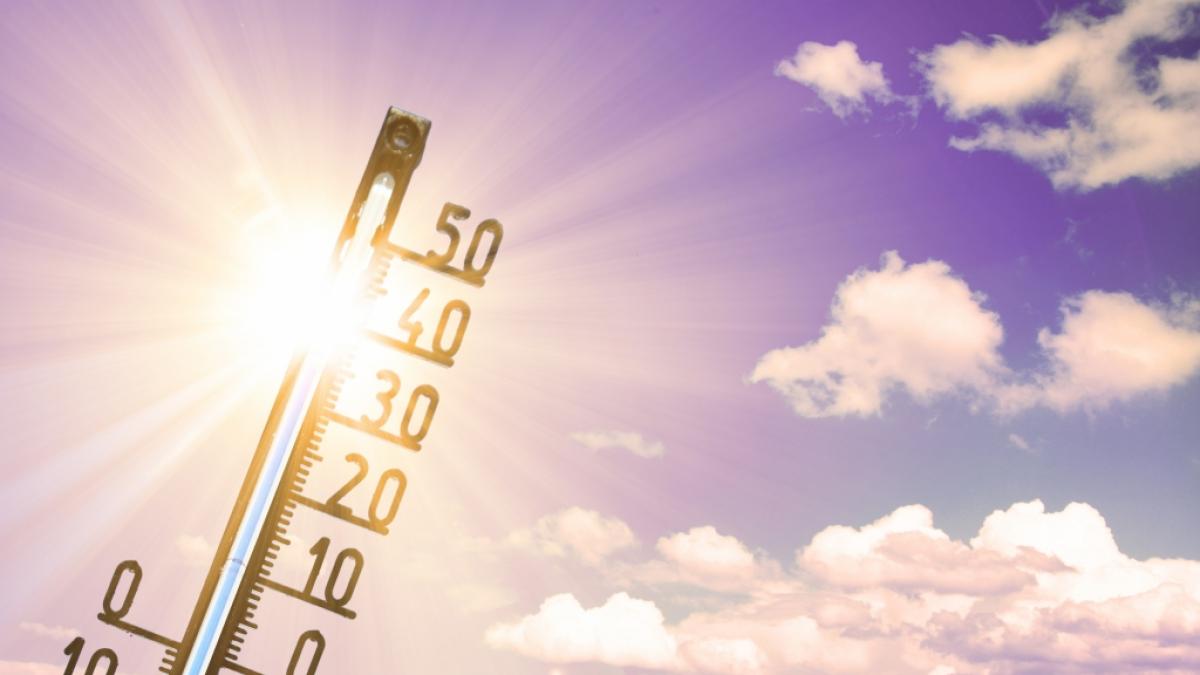 Deutschland steht laut Wetterdienst eine Hitze-Woche bevor. (Foto)