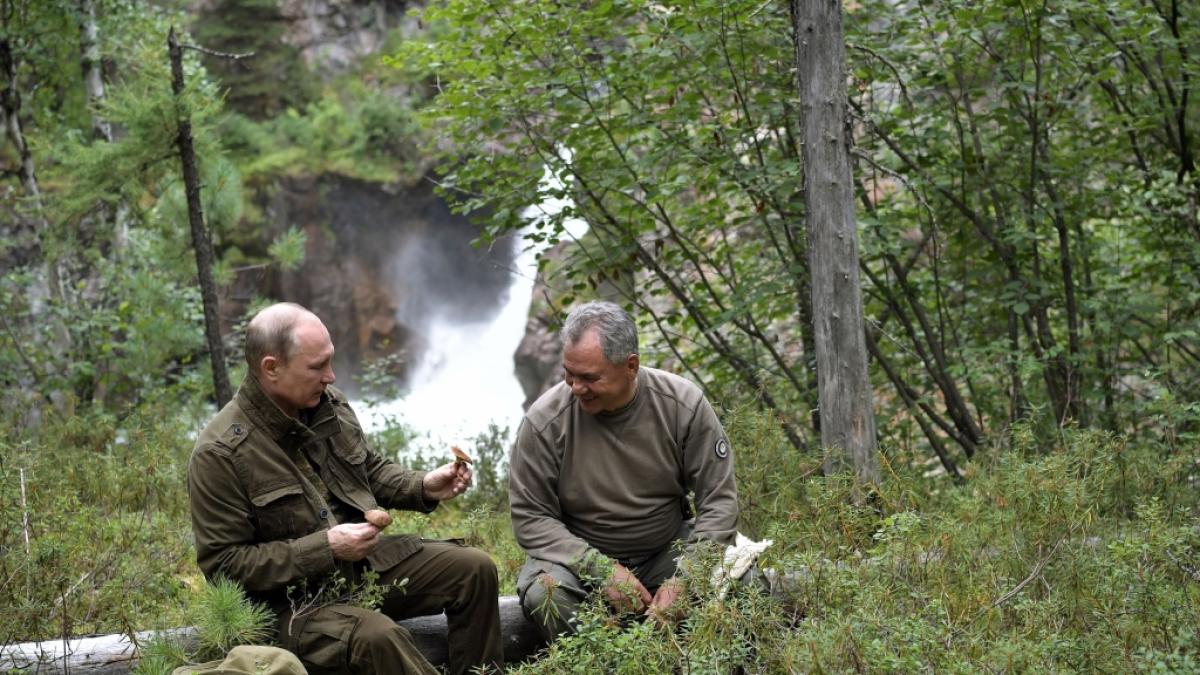 Ein Foto, das Kreml verbreitet wurde, zeigt den russischen Pr&auml;sidenten Wladimir Putin (l) und den russischen Verteidigungsminister Sergej Schoigu. (Foto)