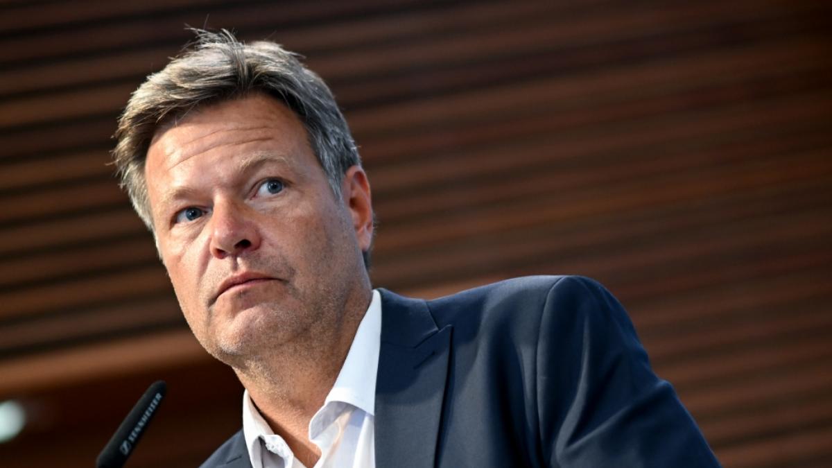 Robert Habeck will mit konkreten Energiesparma&szlig;nahmen eine Gas-Notlage im Winter abwenden. (Foto)