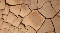 Der US-Wetterdienst NOAA prophezeit Mitteleuropa einen eher trockenen Frühling.