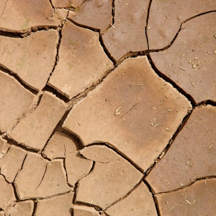 Unwetter-Sommer nach Dürre-Frühling? Meteorologen wagen erste Prognose