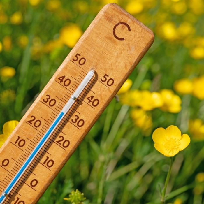 30-Grad-Hitze-Keule im Anmarsch - hier wird es jetzt richtig heiß