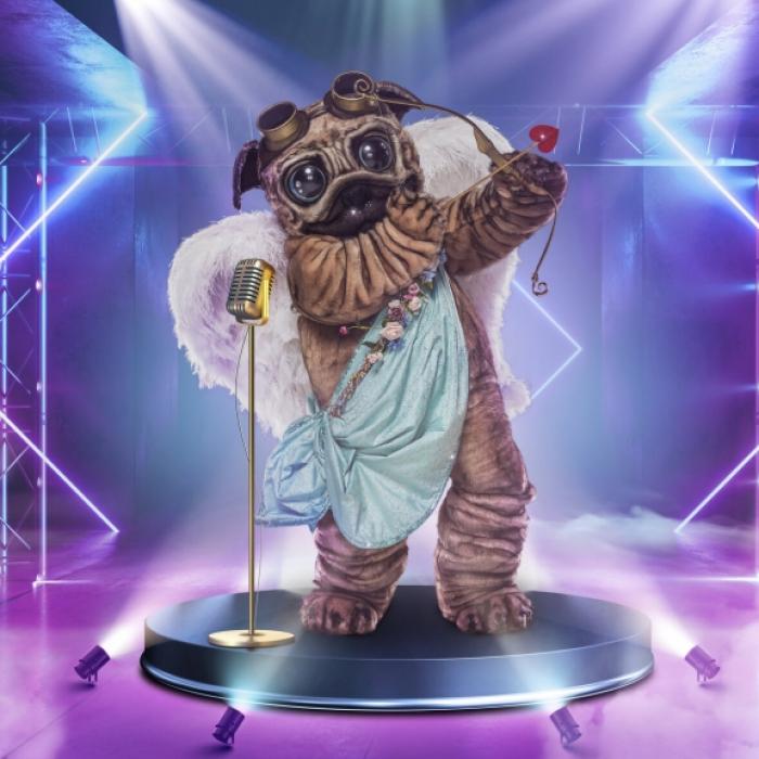 Dieser Promi wurde im Finale als Mops demaskiert