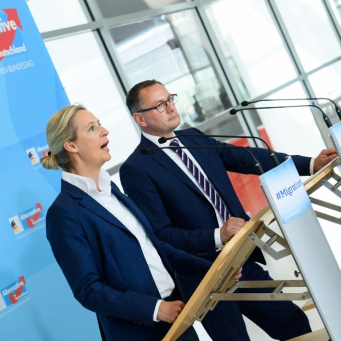 Wie weit klettert die AfD in der Wählergunst noch nach oben?