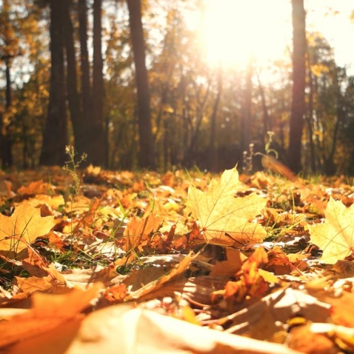 Warmluftdüse bringt Spätsommer zurück! Droht danach die Kälteklatsche?