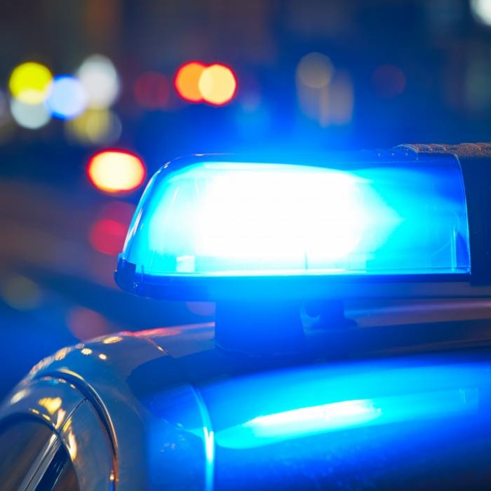 Frau auf Zug-Toilette missbraucht, Mann zerstückelt gehäutete Freundin 