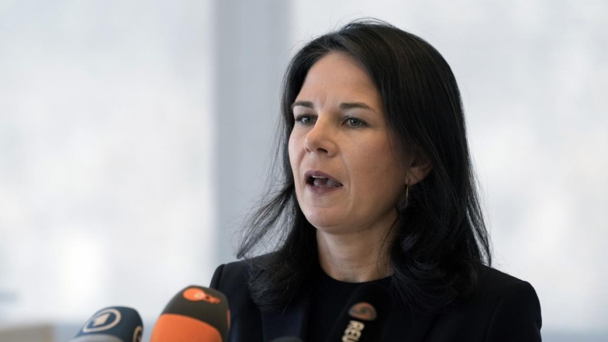 Im Netz wird wieder Stimmung gegen Annalena Baerbock gemacht. (Foto)